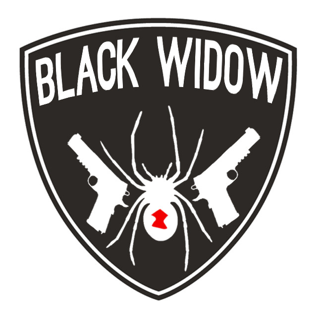 Brooklyn Nets Black Widow logo iron on transfers